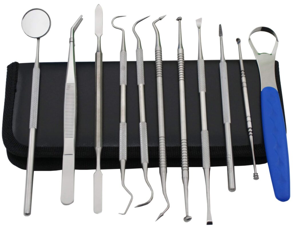 Complete Oral Care: Navigating the Essentials from Piksters Dental Kits to Professional Dental Scalers Piksters Dental Kits