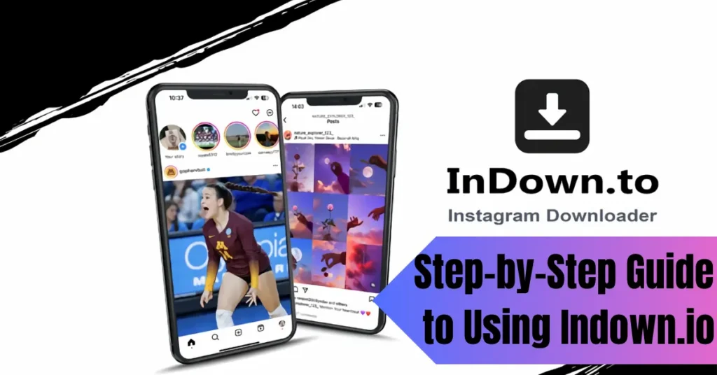 Step-by-Step Guide to Using Indown.io