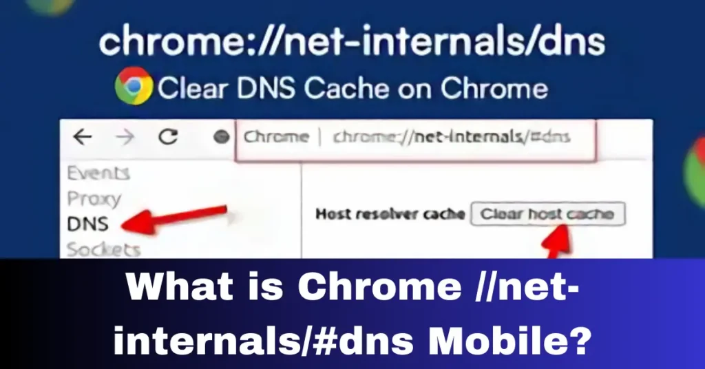 What is Chrome //net-internals/#dns Mobile?