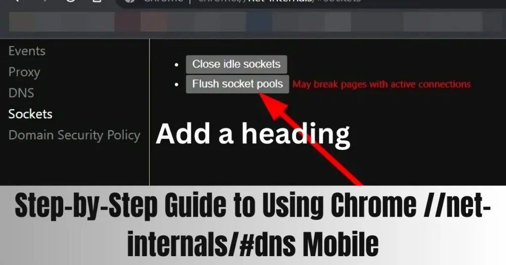 Step-by-Step Guide to Using Chrome //net-internals/#dns Mobile