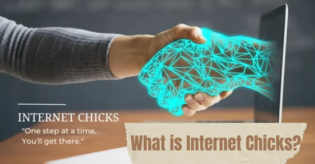 What is Internet Chicks?