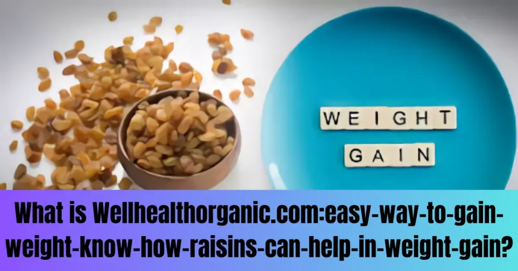 What is Wellhealthorganic.com:easy-way-to-gain-weight-know-how-raisins-can-help-in-weight-gain?