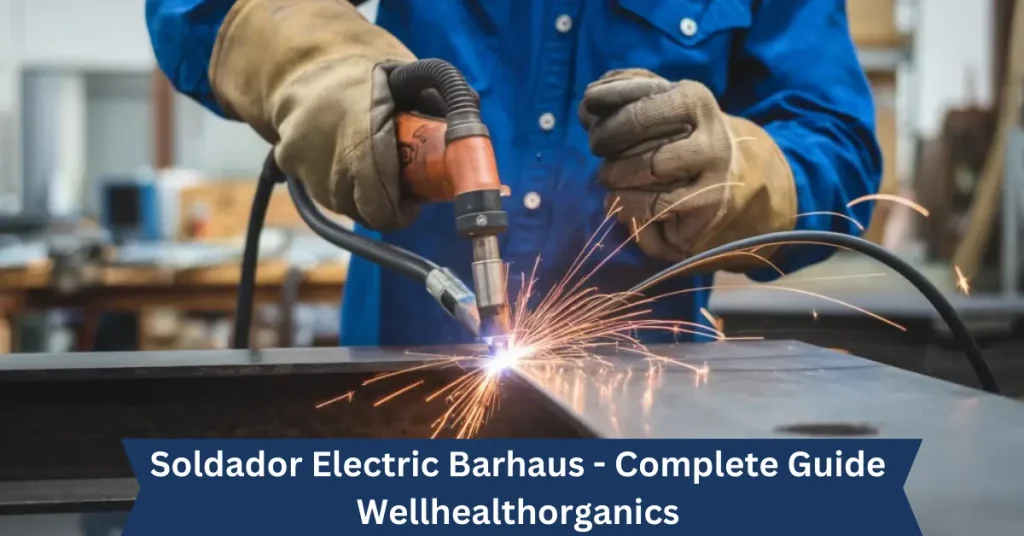 Soldador Electric Barhaus – Complete Guide – Wellhealthorganics soldador electric barhaus - complete guide - wellhealthorganics