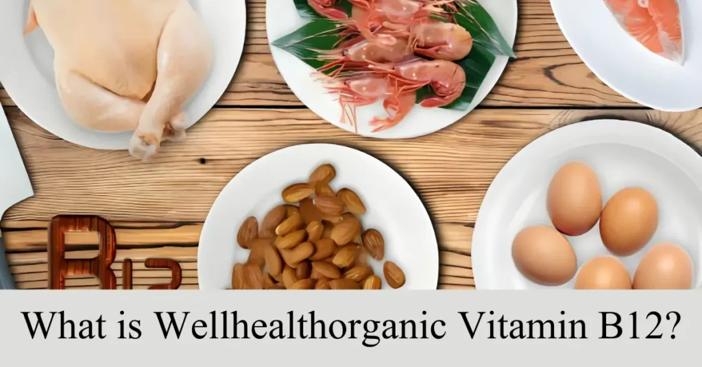 what is wellhealthorganic vitamin b12